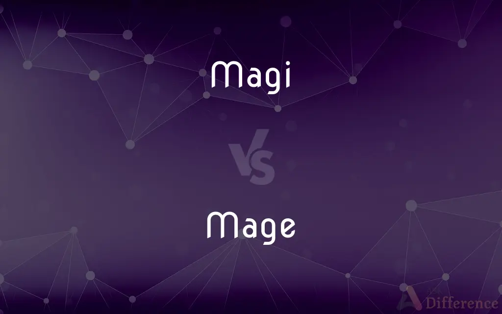 Magi vs. Mage — What's the Difference?