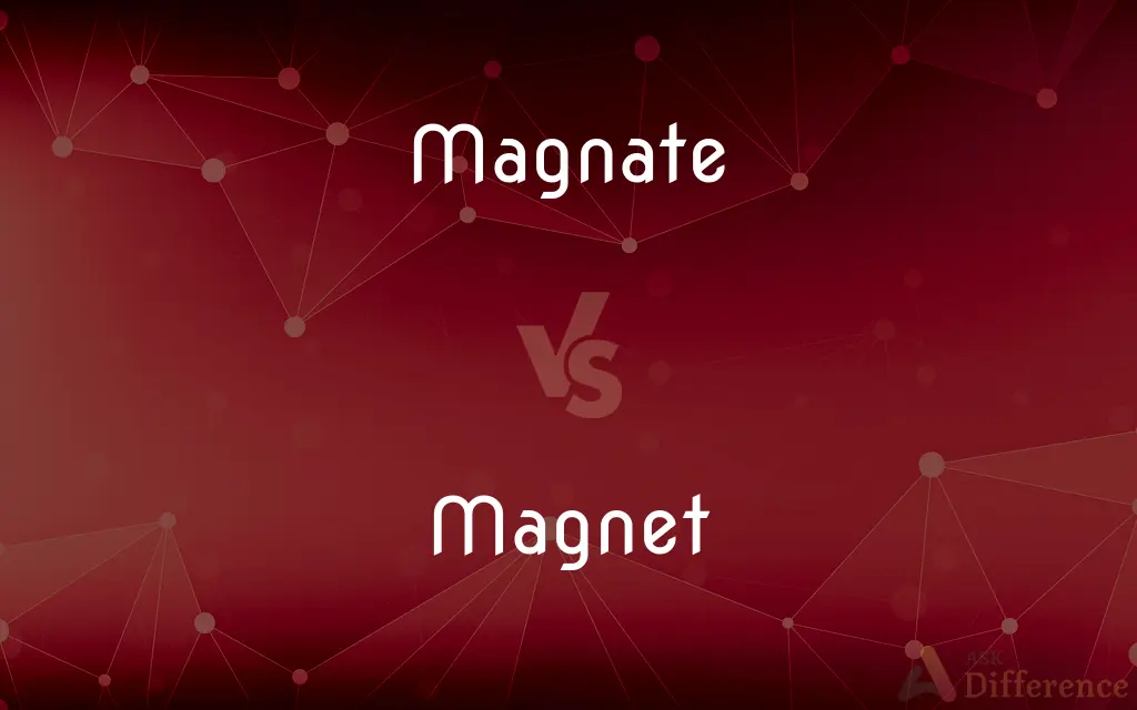 Magnate vs. Magnet — What's the Difference?