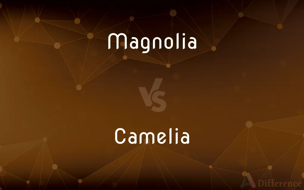 Magnolia vs. Camelia — What's the Difference?