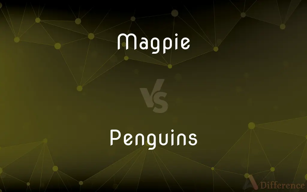 Magpie vs. Penguins — What's the Difference?