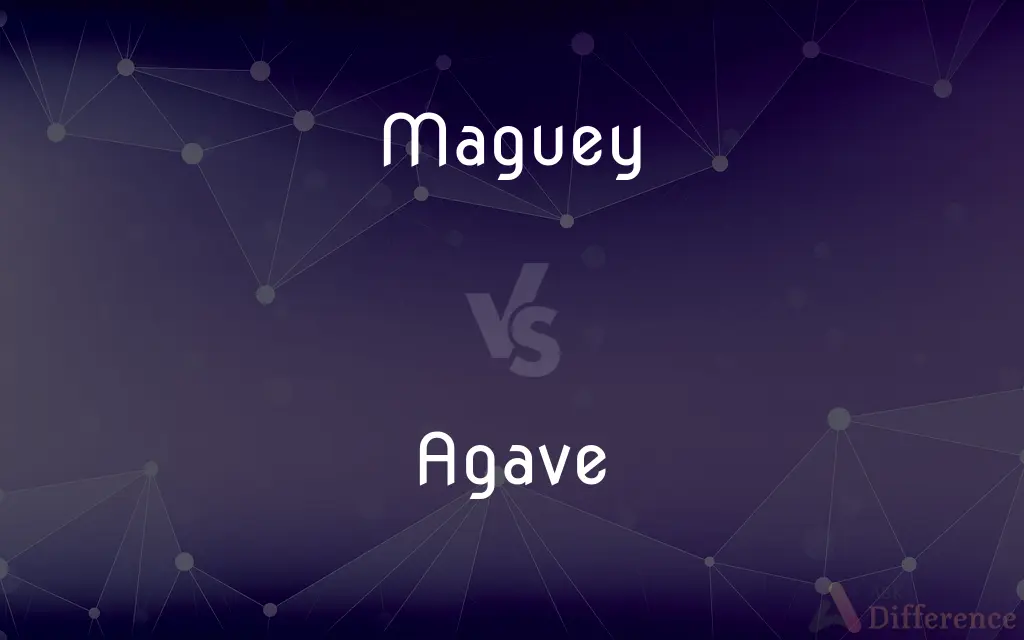 Maguey vs. Agave — What's the Difference?