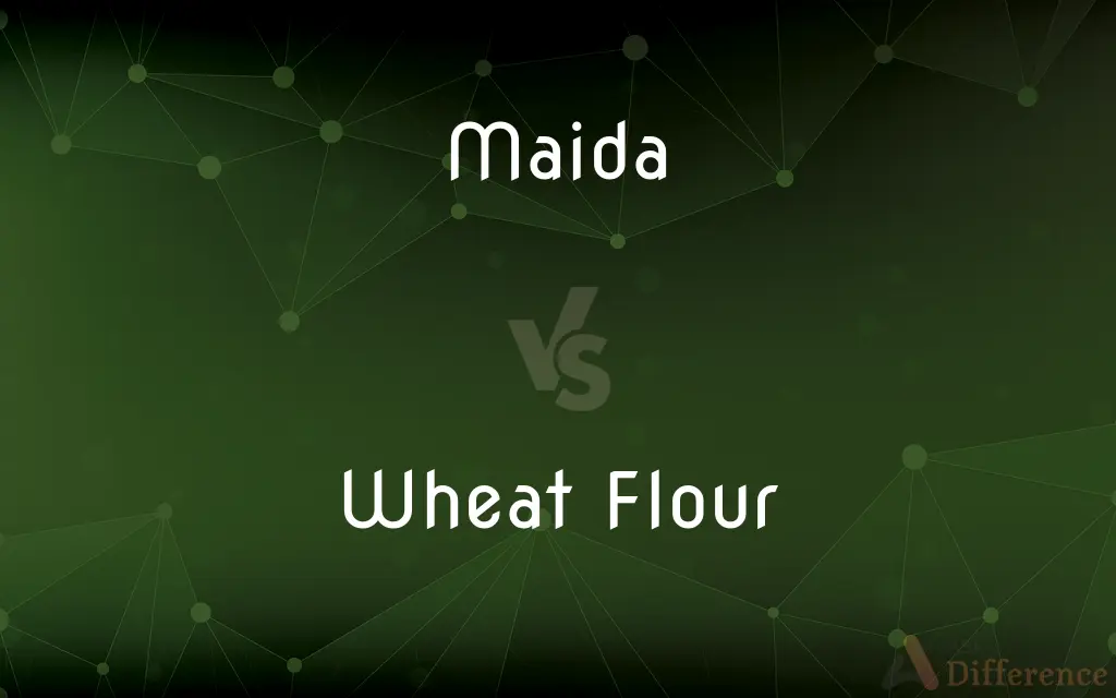 Maida vs. Wheat Flour — What's the Difference?