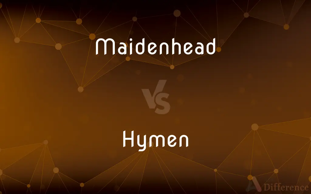 Maidenhead vs. Hymen — What's the Difference?