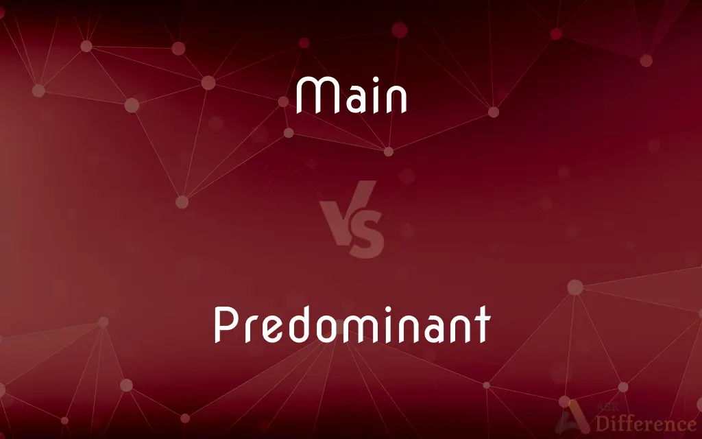 Main vs. Predominant — What's the Difference?