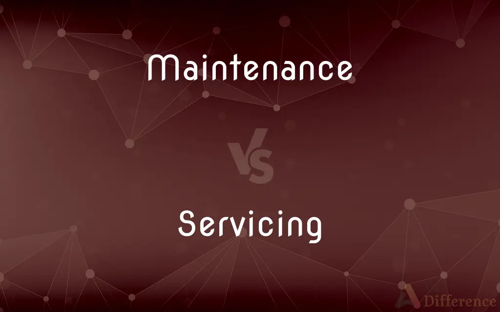 Maintenance vs. Servicing — What's the Difference?