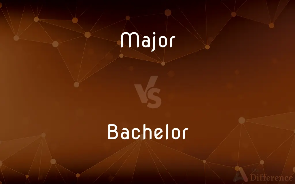 Major vs. Bachelor — What's the Difference?