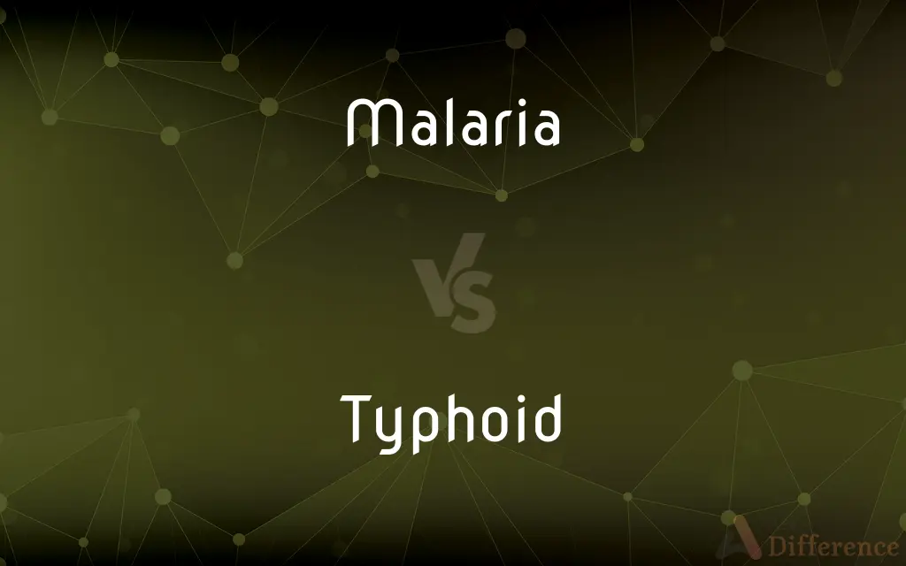 Malaria vs. Typhoid — What's the Difference?