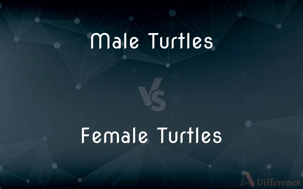 Male Turtles vs. Female Turtles — What's the Difference?