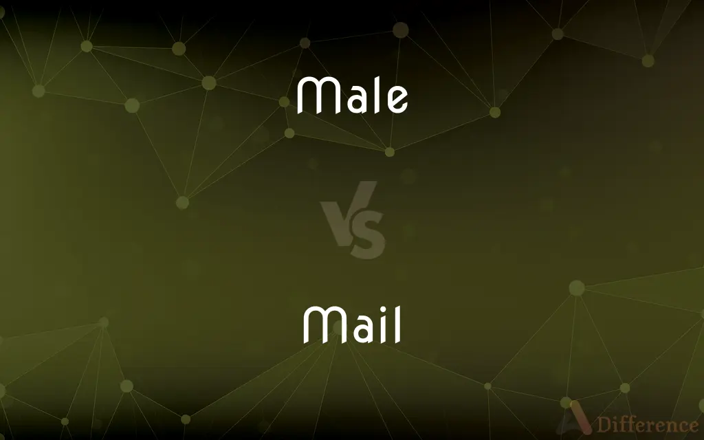 Male vs. Mail — What's the Difference?