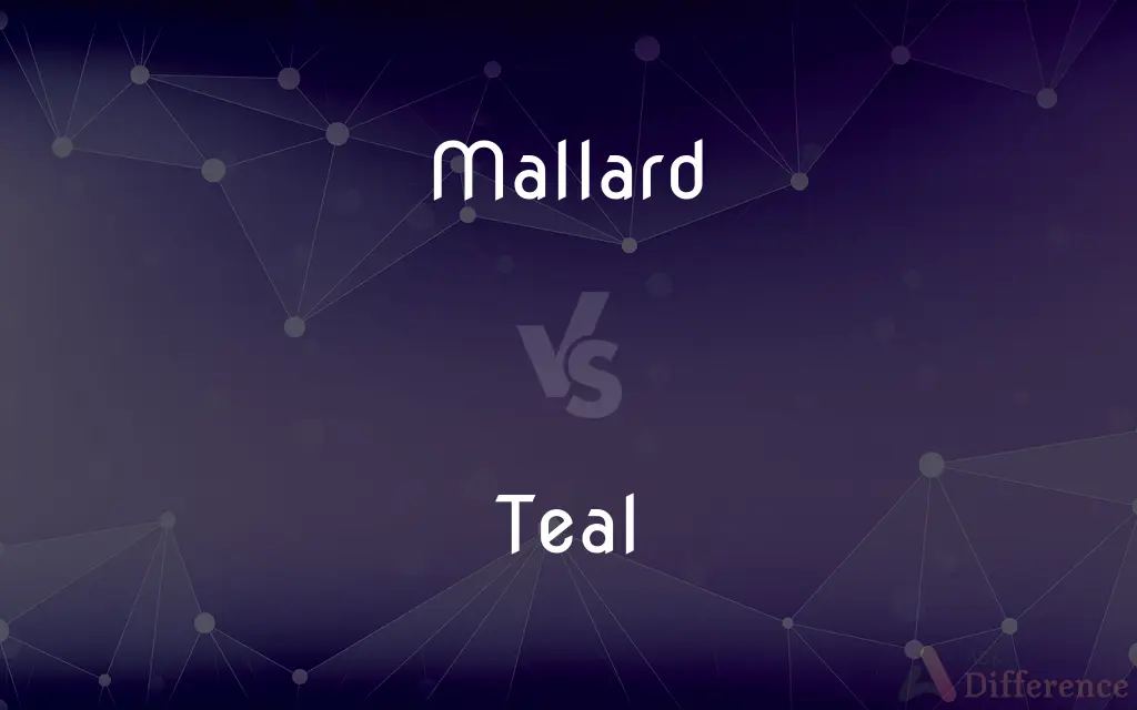 Mallard vs. Teal