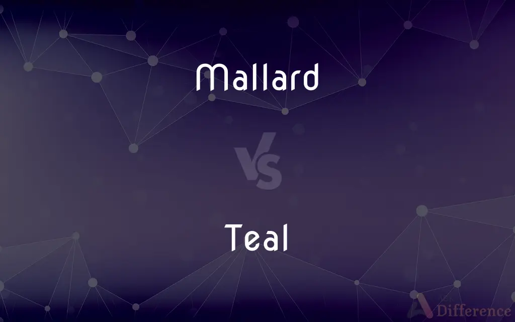 Mallard vs. Teal — What's the Difference?