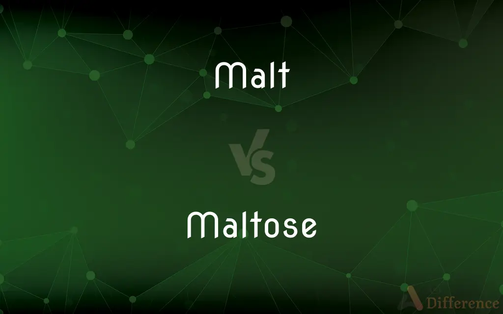 Malt vs. Maltose — What's the Difference?