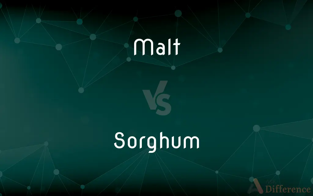 Malt vs. Sorghum — What's the Difference?