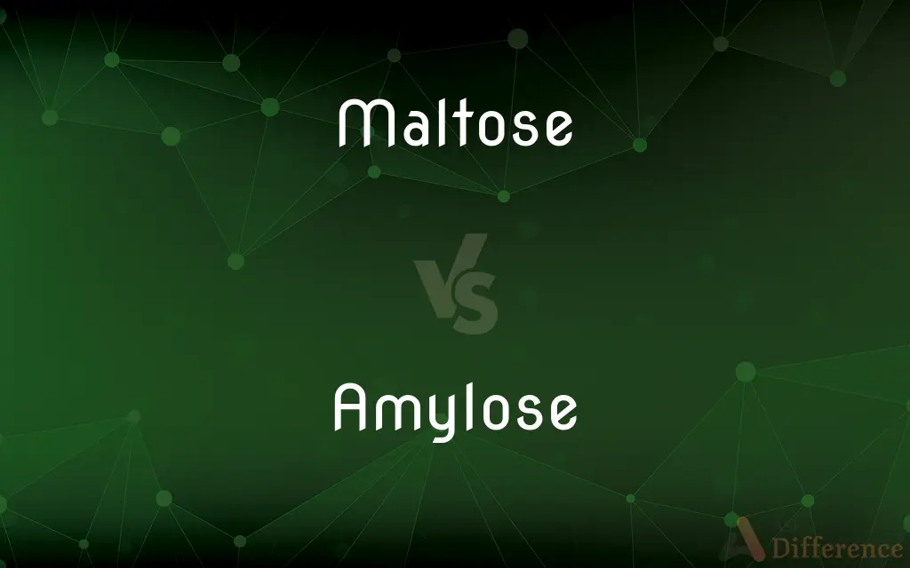 Maltose vs. Amylose