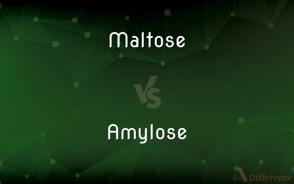 Maltose vs. Amylose — What's the Difference?