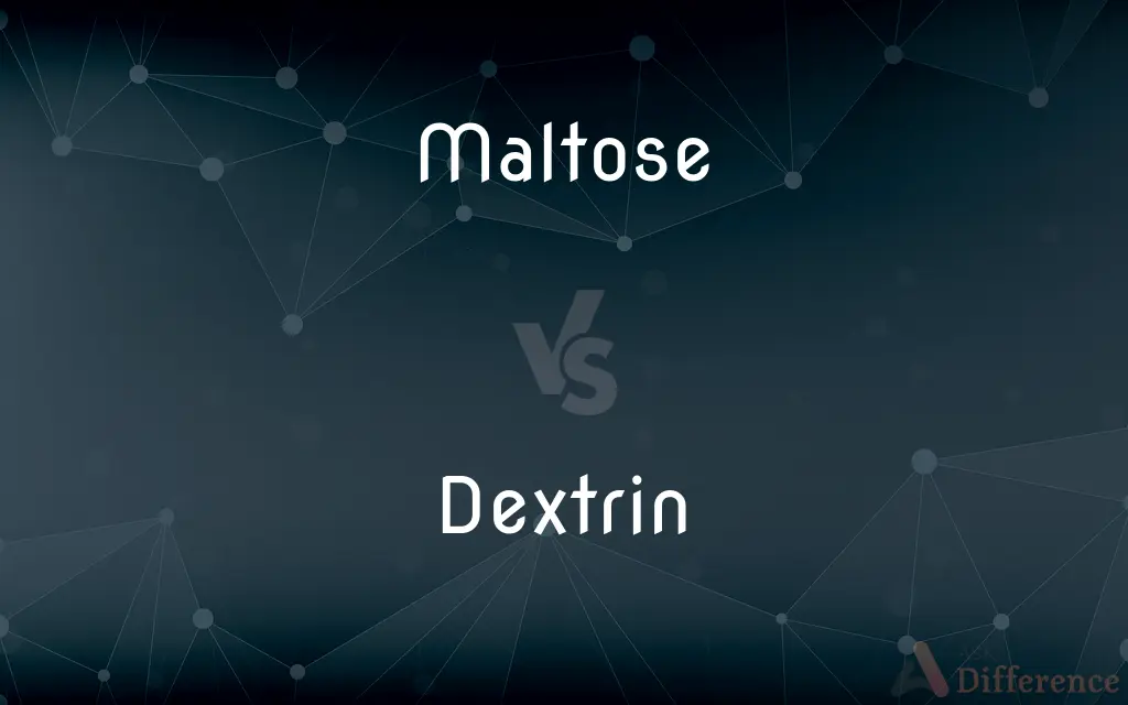 Maltose vs. Dextrin — What's the Difference?