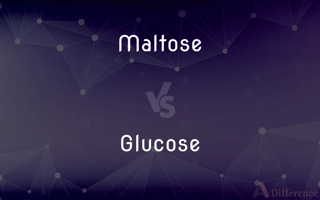 Maltose vs. Glucose — What's the Difference?
