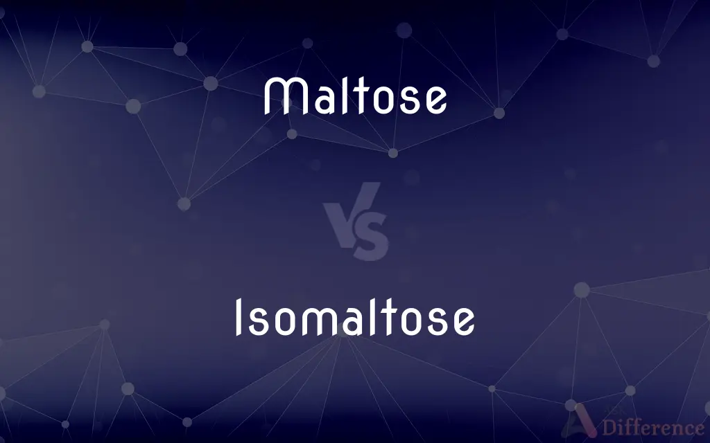 Maltose vs. Isomaltose — What's the Difference?