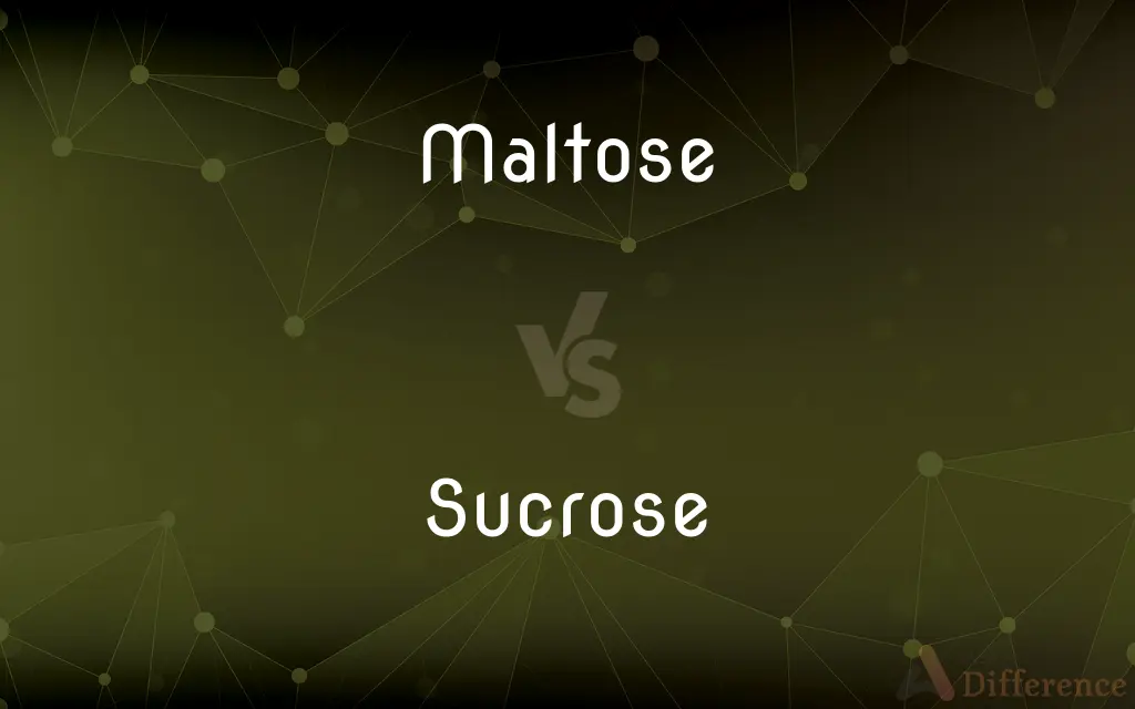 Maltose vs. Sucrose — What's the Difference?
