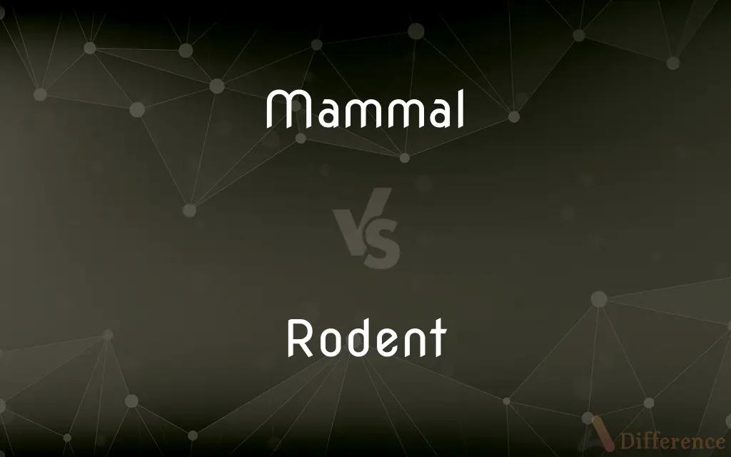 Mammal vs. Rodent — What's the Difference?
