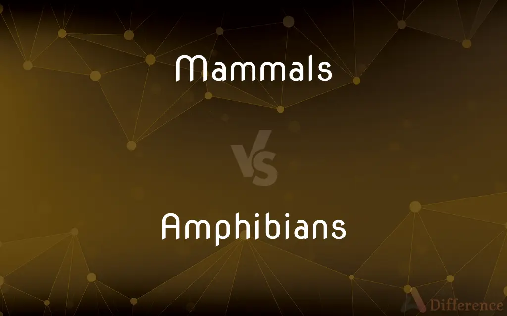 Mammals vs. Amphibians — What's the Difference?