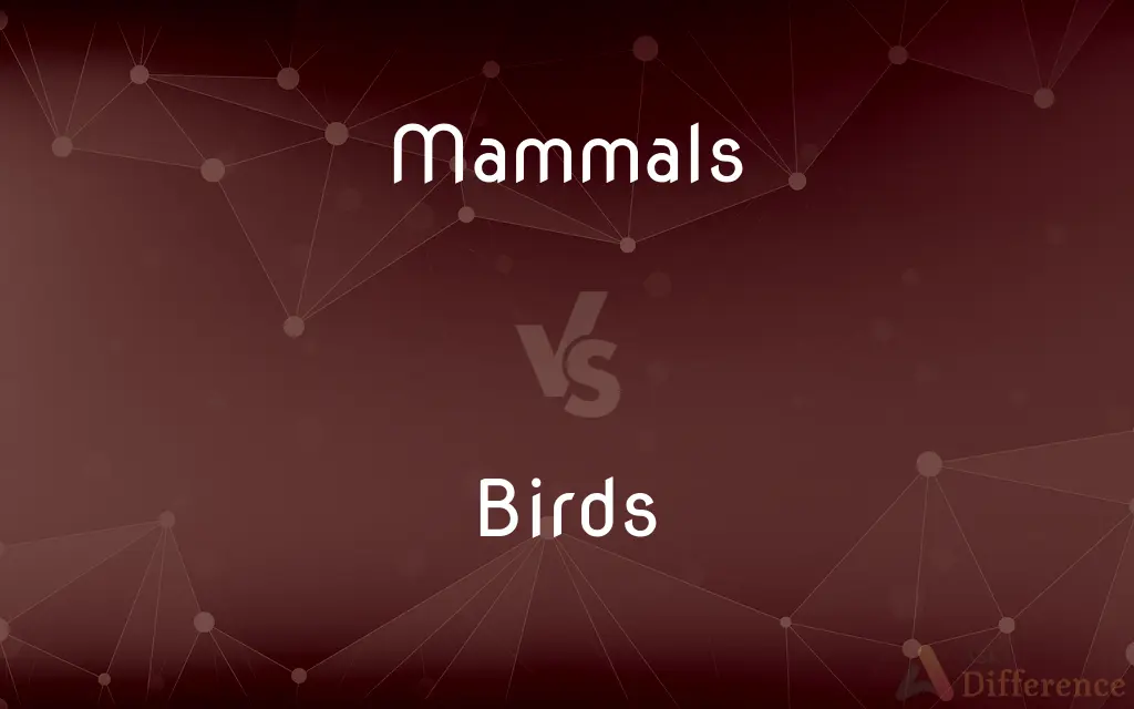 Mammals vs. Birds