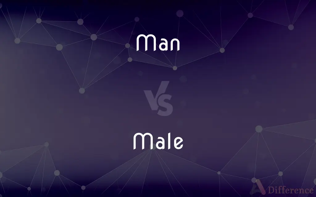 Man vs. Male — What's the Difference?