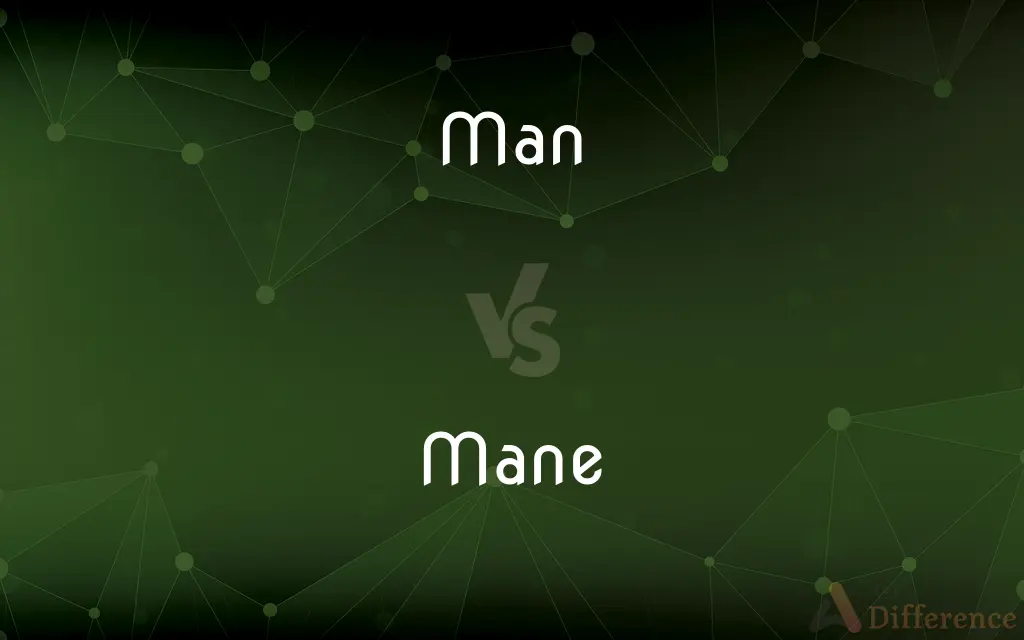 Man vs. Mane — What's the Difference?