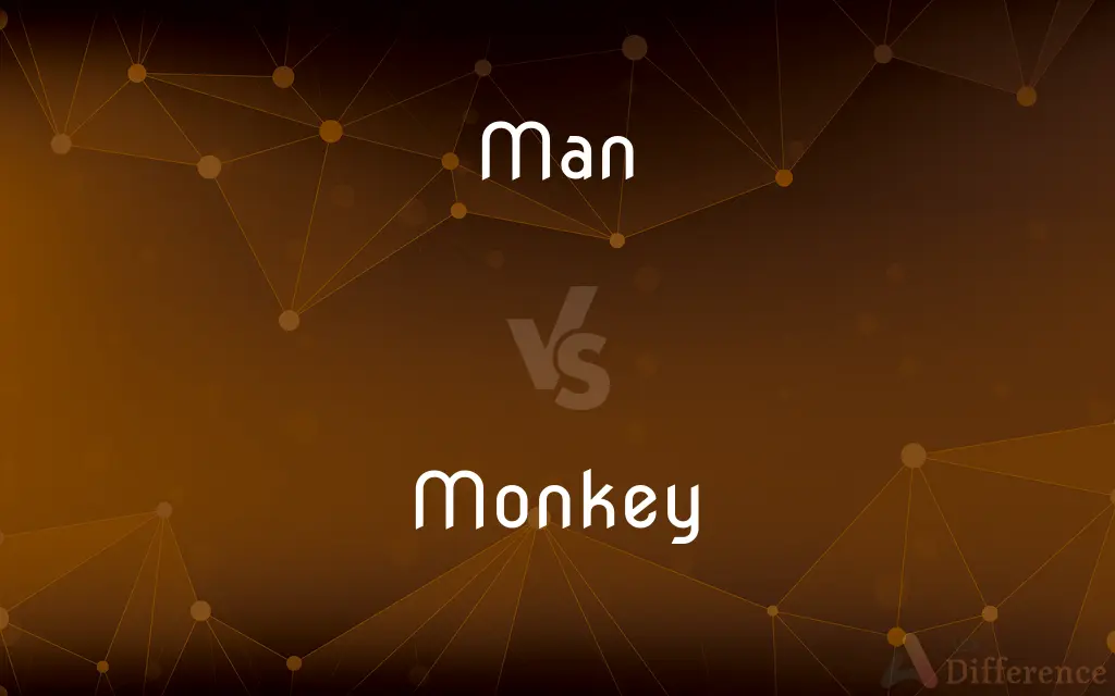 Man vs. Monkey — What's the Difference?
