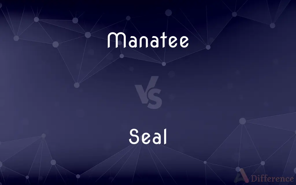 Manatee vs. Seal — What's the Difference?