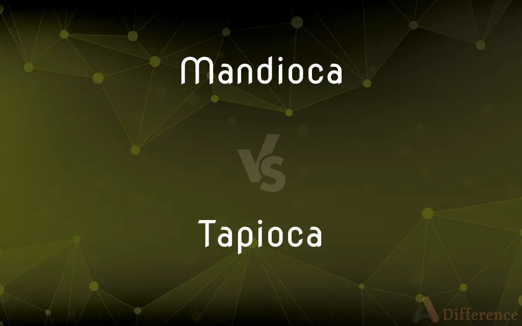 Mandioca vs. Tapioca — What's the Difference?