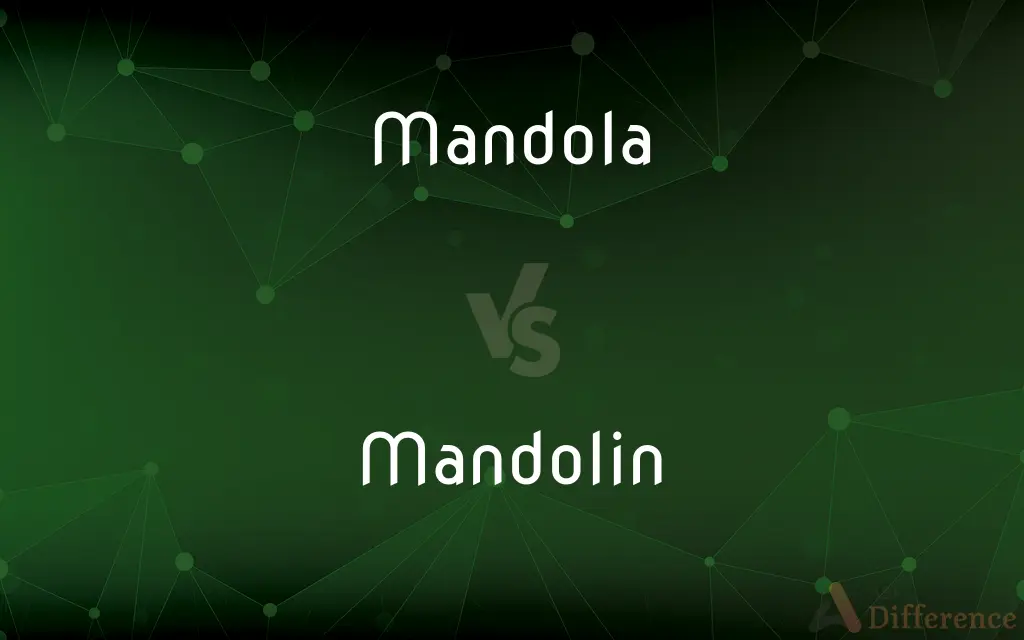 Mandola vs. Mandolin — What's the Difference?