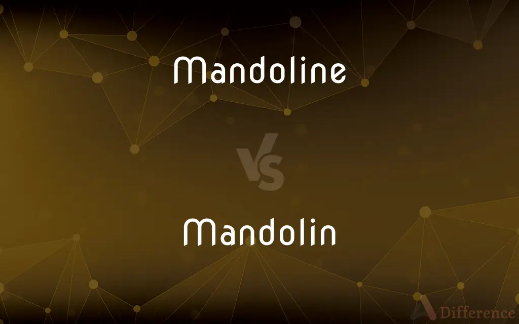 Mandoline vs. Mandolin — What's the Difference?
