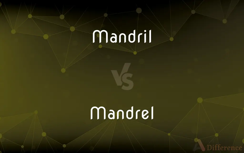 Mandril vs. Mandrel — What's the Difference?