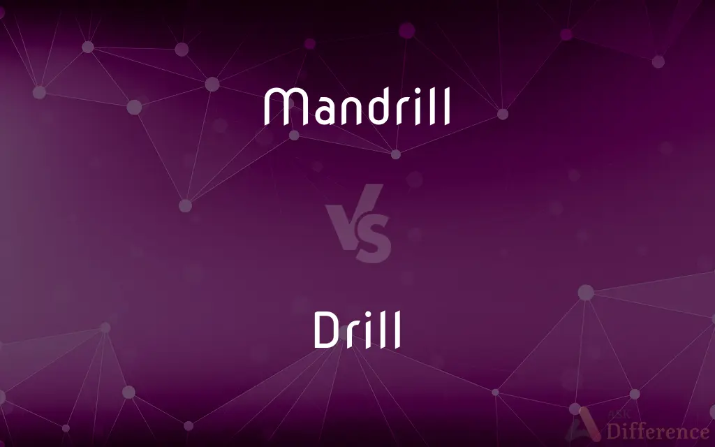 Mandrill vs. Drill — What's the Difference?