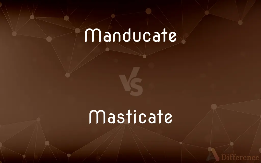 Manducate vs. Masticate — What's the Difference?