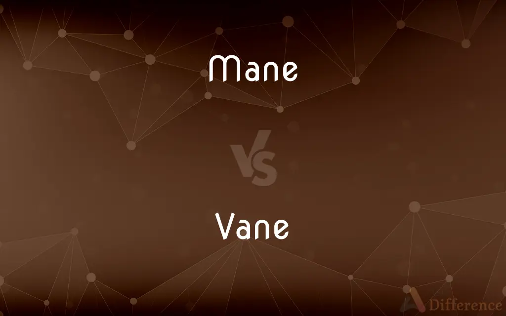 Mane vs. Vane — What's the Difference?