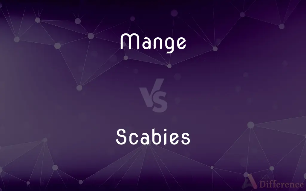 Mange vs. Scabies — What's the Difference?