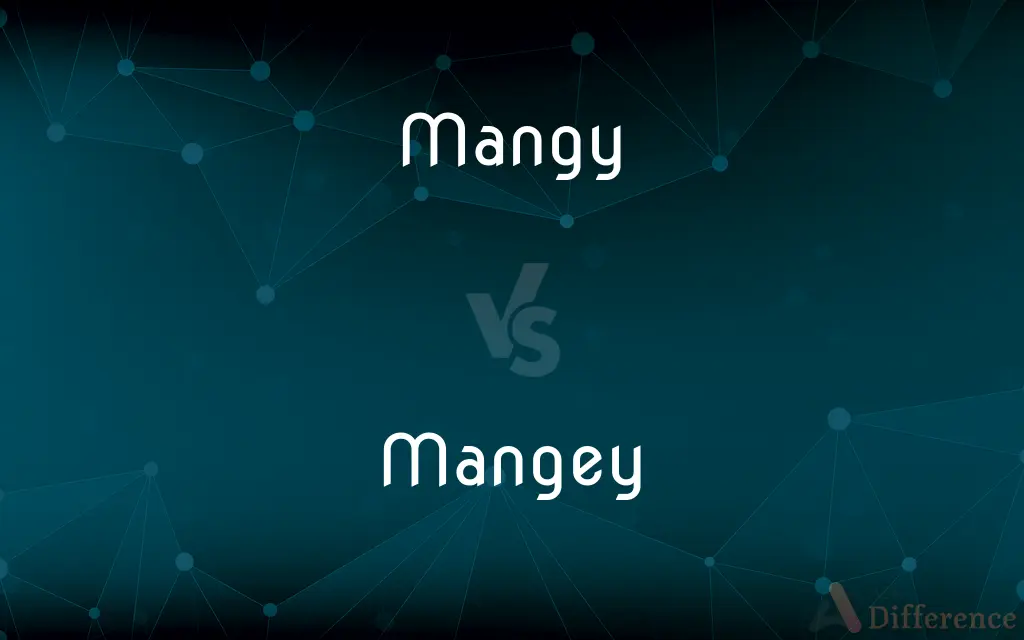 Mangy vs. Mangey — What's the Difference?