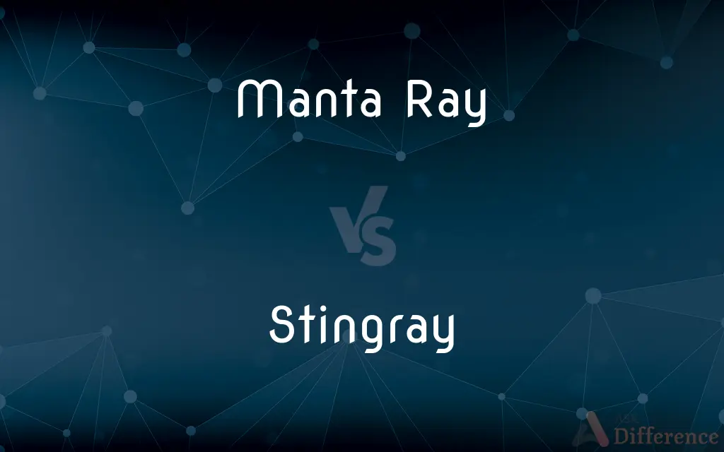 Manta Ray vs. Stingray — What's the Difference?