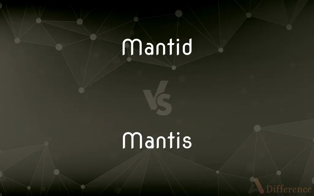 Mantid vs. Mantis — What's the Difference?