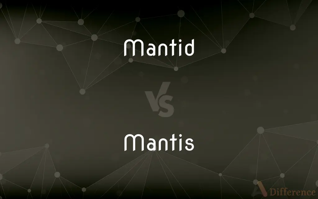 Mantid vs. Mantis — Which is Correct Spelling?