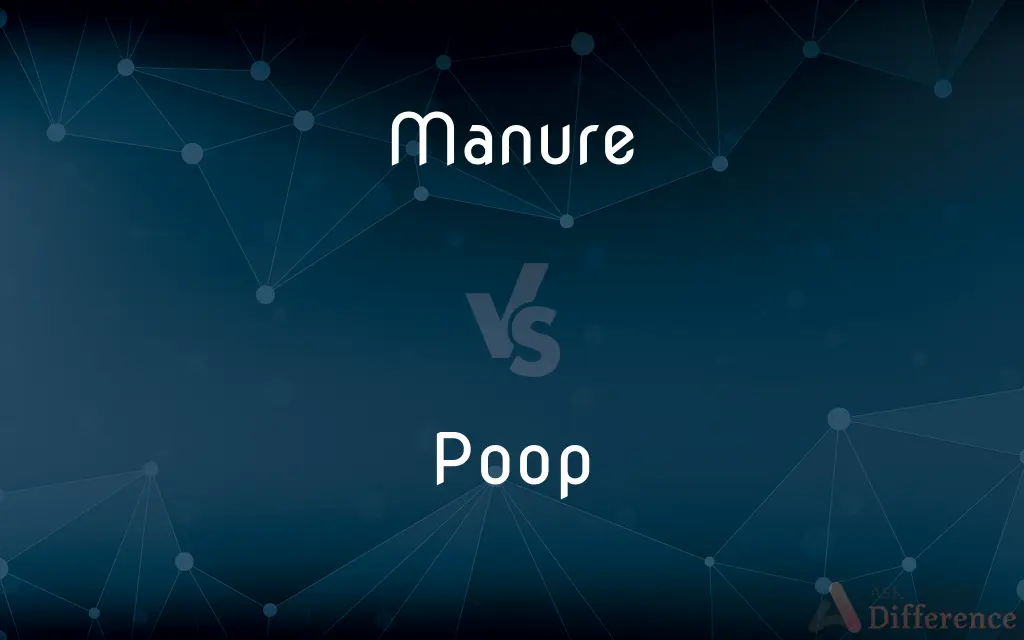 Manure vs. Poop — What's the Difference?