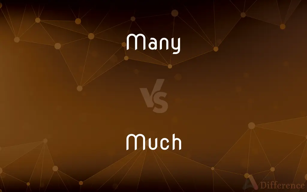 Many vs. Much — What's the Difference?