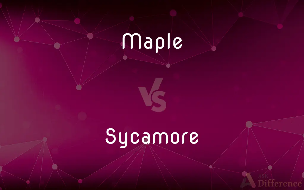 Maple vs. Sycamore — What's the Difference?