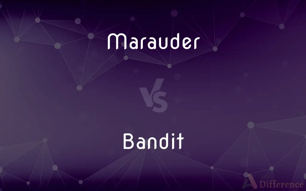 Marauder vs. Bandit — What's the Difference?