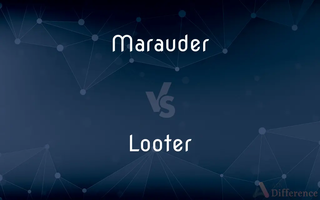 Marauder vs. Looter — What's the Difference?