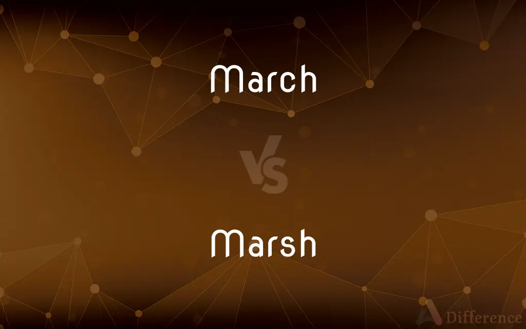 March vs. Marsh — What's the Difference?