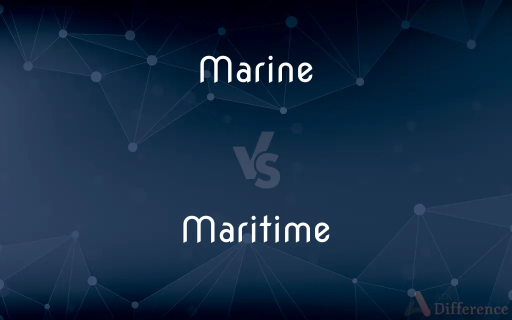 Marine vs. Maritime — What's the Difference?