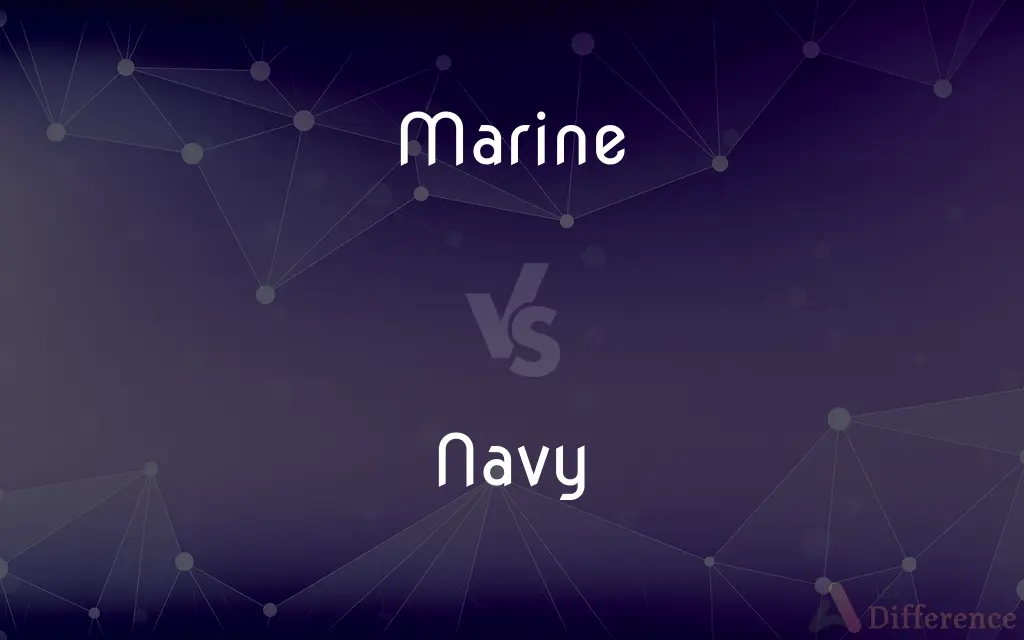 Marine vs. Navy — What's the Difference?